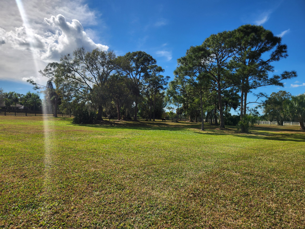 A peaceful, sunlit pasture used for grounding and nature-infused therapy sessions in Palm City, Florida.